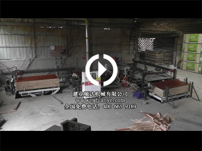 無人操作高檔鋸邊機