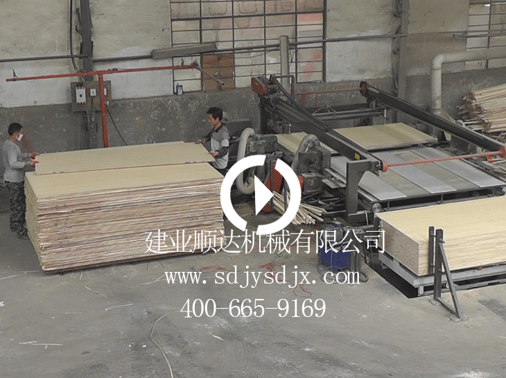 伺服數(shù)控全自動鋸邊機